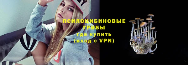 молекула духа Горно-Алтайск