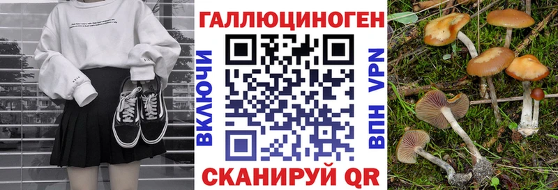 что такое   Норильск  Псилоцибиновые грибы Psilocybe 